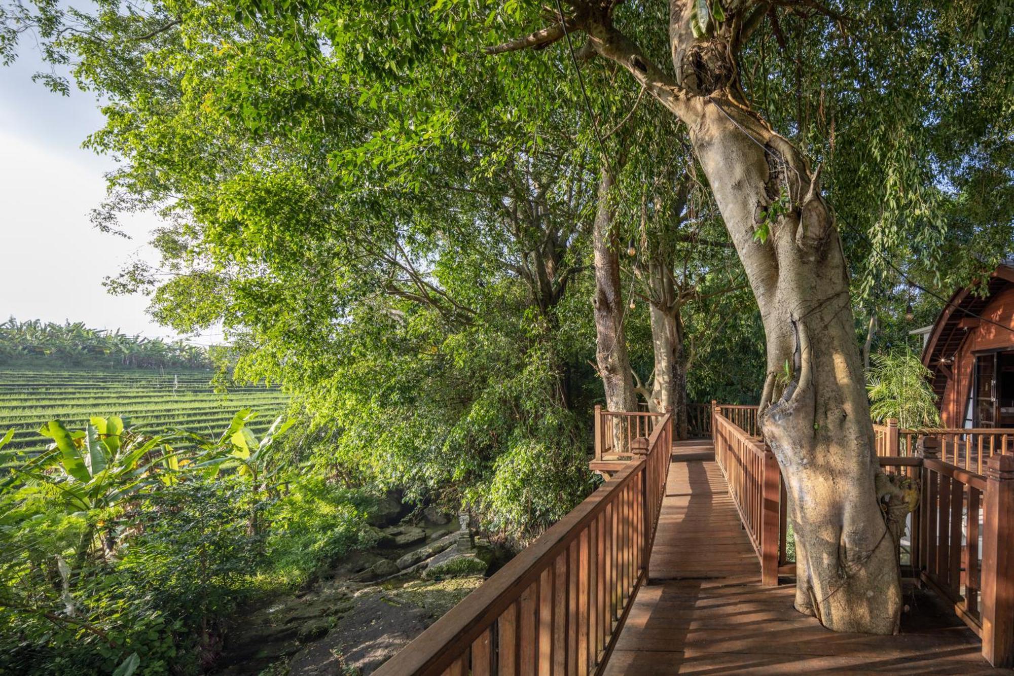 Paripadi Private Villa And Sanctuary Canggu  Exterior photo